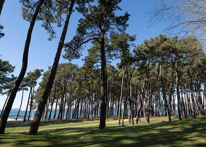 Samil Playa Sur Apartamento